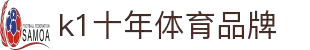 十年体育品牌-K1体育：专业运动装备制造商与智能体育解决方案提供商